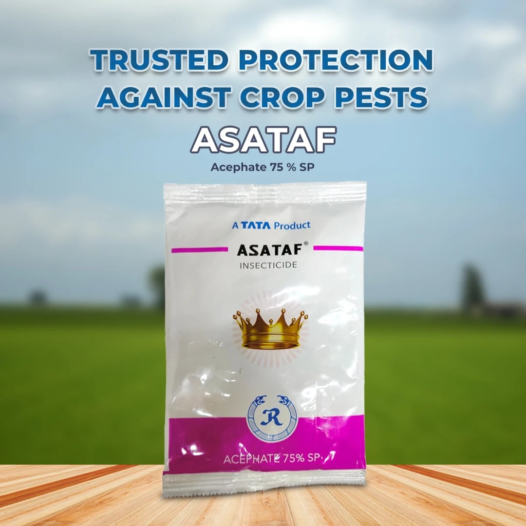 Tata Asataf Insecticide