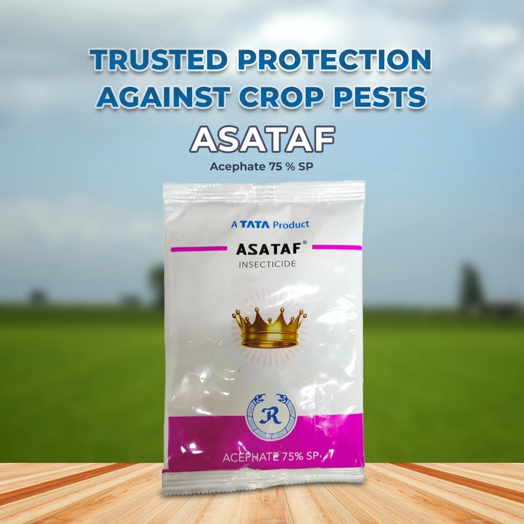 Tata Asataf Insecticide