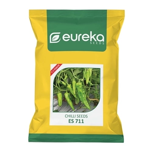 Eureka ES 711 F1 Hybrid Chilli Seeds, High Yield Semi-Spreading Plants, Good Fruit Uniformity