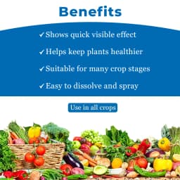 EBS THIOMAX SUPER Thiamethoxam 75% SG Broad Spectrum Insecticide, Systemic Action 4