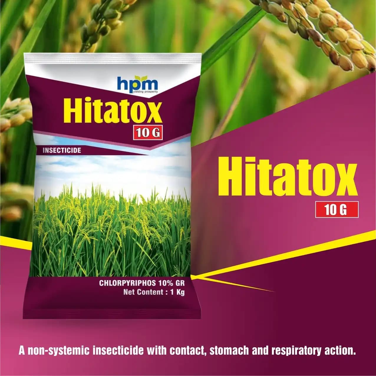 Hpm Hitatox 10G Chlorpyrifos 10% GR Insecticide, Non-Systemic, Effective For Rice Pest Control - Image 2