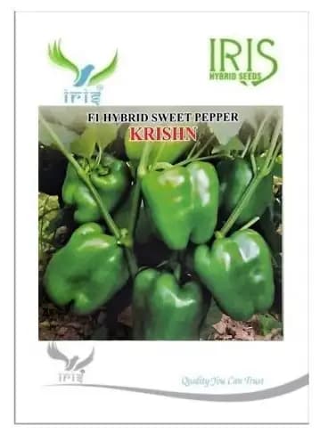 Iris Hybrid Vegetable Seeds F1 Capsicum Green Capsicum Krishn, Thick Flesh, Vigorous Plant.