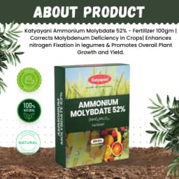 Katyayani Ammonium Molybdate 52% Organic Fertilizer, Corrects Molybdenum Deficiency in Crops, Promotes Overall Plant Growth and Yield 2
