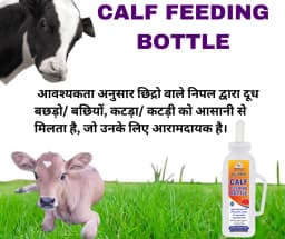 PASHU SVASTH Calf Feeding Bottle, Silicone And Graduated Design For Easy Feeding Ideal For Calf Feeding (2 Liter) 5