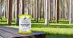 SRI SAI FORESTRY - Eucalyptus Nilgiri , Best Paper wood Tree, Hard Timber & Fast Growing Firewood Tree seeds 7