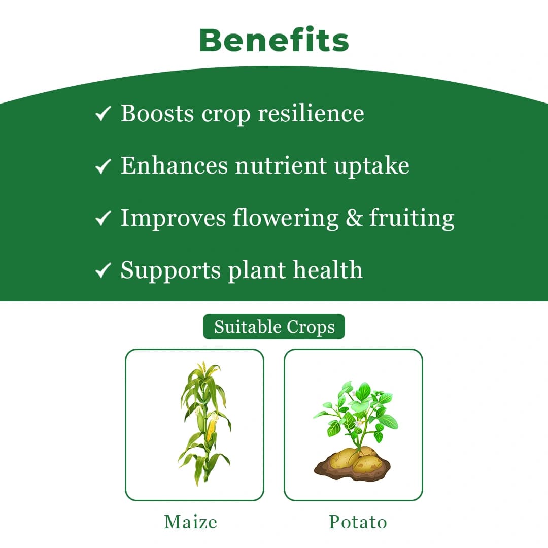 HPM Heera 44 - 2,4-D Ethyl Ester 38% EC, Belongs To Phenoxy Carboxylic Acid, Wide Spectrum Weedicide - Image 4