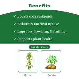 HPM Heera 44 - 2,4-D Ethyl Ester 38% EC, Belongs To Phenoxy Carboxylic Acid, Wide Spectrum Weedicide 4
