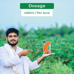 Crystal Nutrozen Systemic Balanced Nutrition, For Optimum Metabolic Activities 5