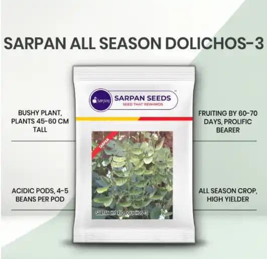 Sarpan Dolichos 3 , Hybrid Dolichos Seeds, Excellent Germination, Very High Yield