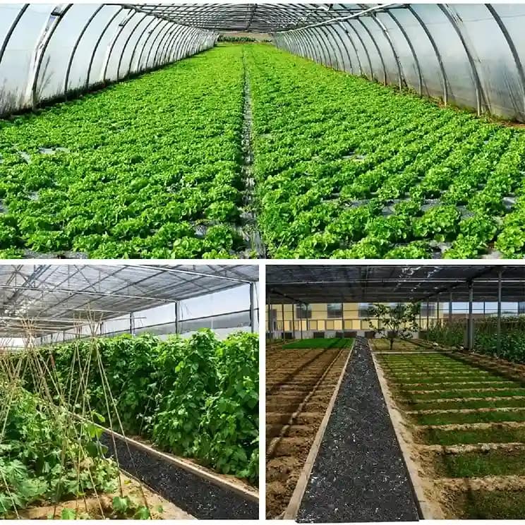 Siddhi Weed Mat 110 GSM Garden Weed Fabric Heavy-Duty Weed Block Gardening Mat Eco-Friendly Weed - Image 8