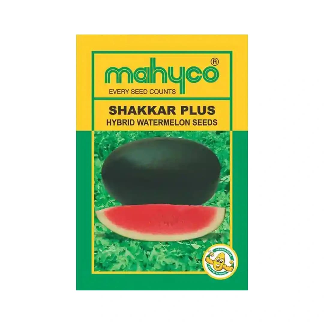 Mahyco Water Melon Seeds Hybrid Shakkar Plus, Very Sweet, Ice Box Segment Fruits