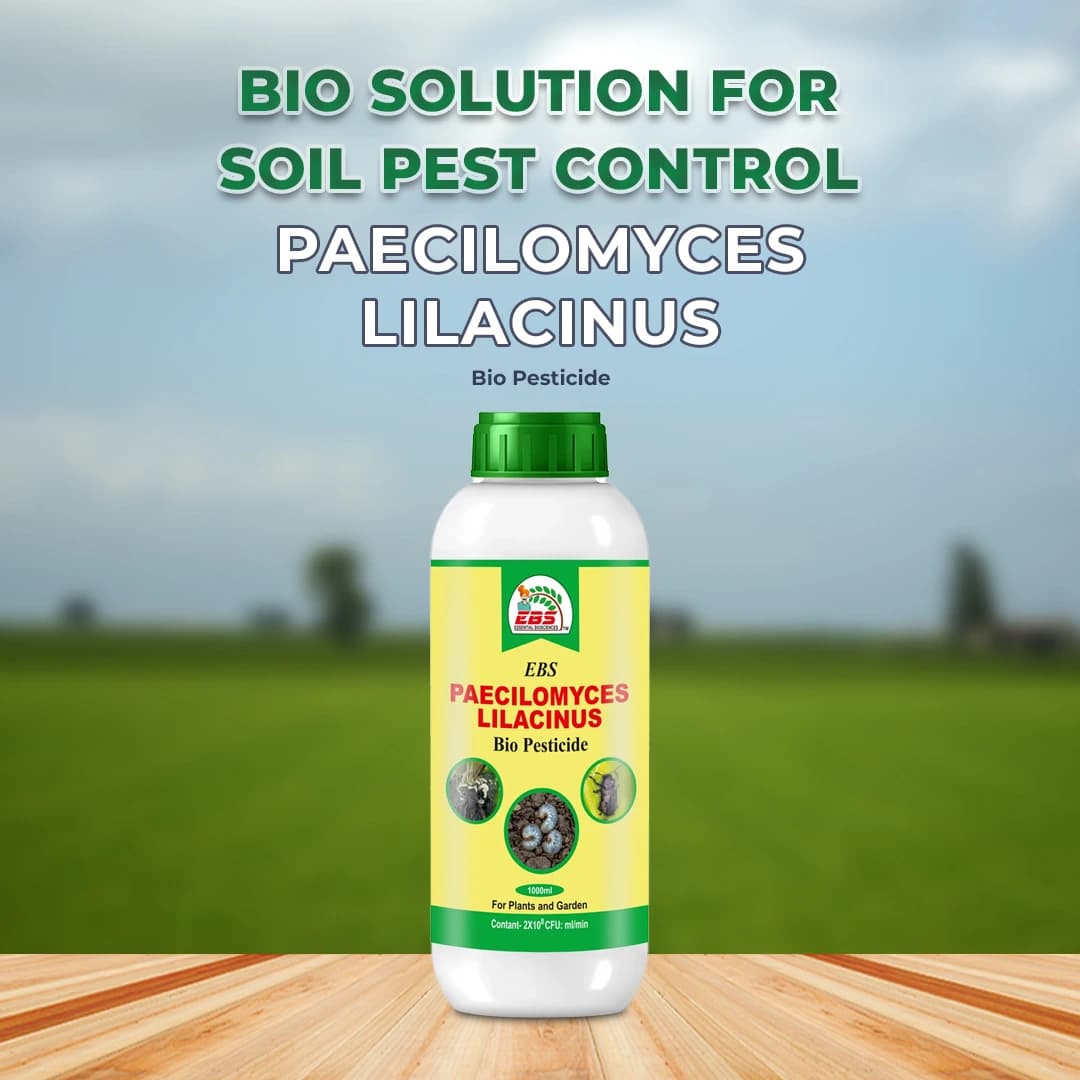 EBS Paecilomyces Lilacinus Bio Pesticide, Control Of Root - Knot Nematode, Ramiform Nematode, Cyst Nematode, Golden Cyst Nematode On All Crops - Image 2