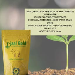 Biowall r-Jaal Gold VAM (Vesicular Arbuscular Mycorrhiza) Root Development and Nutrient 4