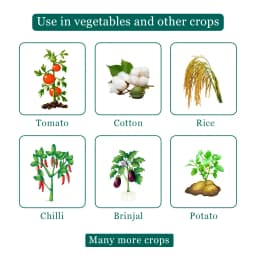 IMD-70 Insecticide - Imidacloprid 70% WG 4