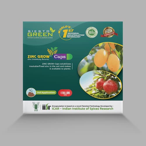 Siesto Zinc Grow Capsules, Contain Zinc Solubilizing Bacteria, Patented Technology Developed by the ICAR - Image 2