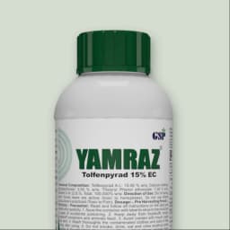 GSP Yamraz Tolfenpyrad 15% EC Insecticide, Efficient For Sucking, Chewing Pests In Vegetables And Field Crops 7