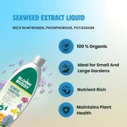BloomBuddy Organic Seaweed Extract Liquid Fertilizer, Growth Promoter For Indoor & Outdoor Plants 3