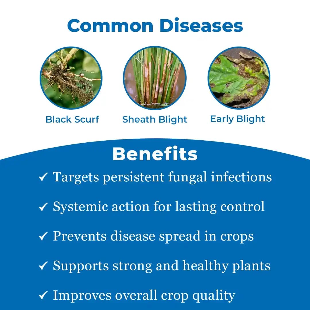EBS Oscar Thifluzamide 24% SC Systemic Fungicide, Recommended for Sheath Blight in Rice and Black Scruf Disease in Potato - Image 3