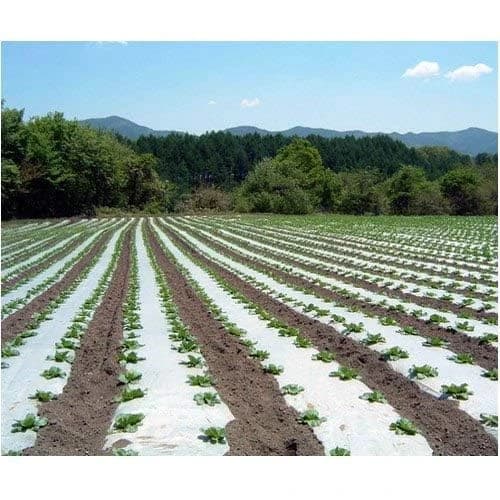 Siddhi Mulch Film, Mulching Sheet, (1.2 Meter Width x 400 Meters Length) For Agriculture & Horticulture Use (Black & White) - Image 2