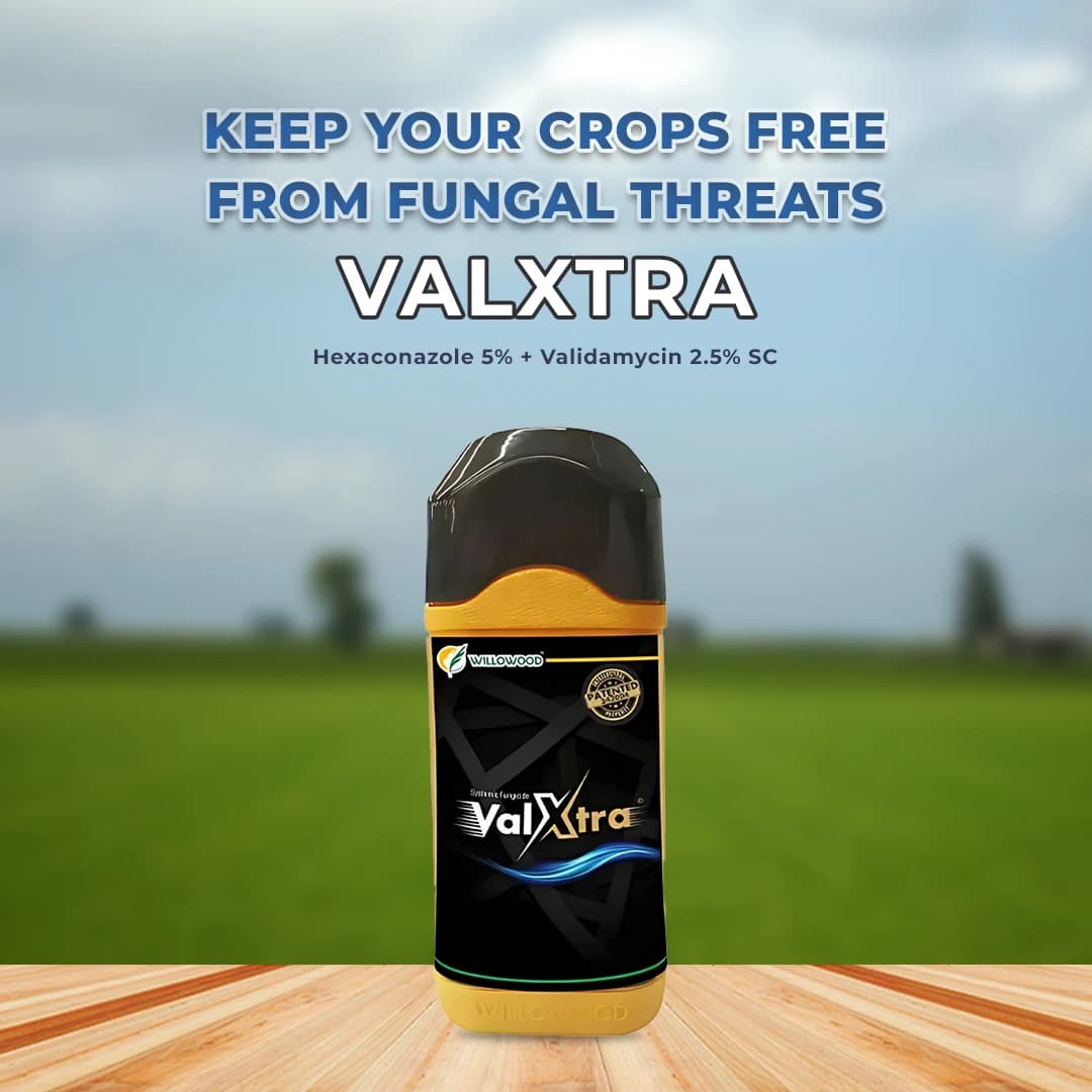 Willowood VALXTRA Hexaconazole 5% + Validamycin 2.5% SC, Best For Shealth Blight And Blast - Image 2