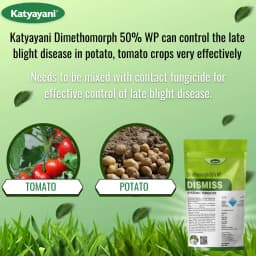 Katyayani Dismiss Dimethomorph 50% WP Fungicide, Effective Control of Downy Mildew, Late Blight, and Other Fungal Diseases 4