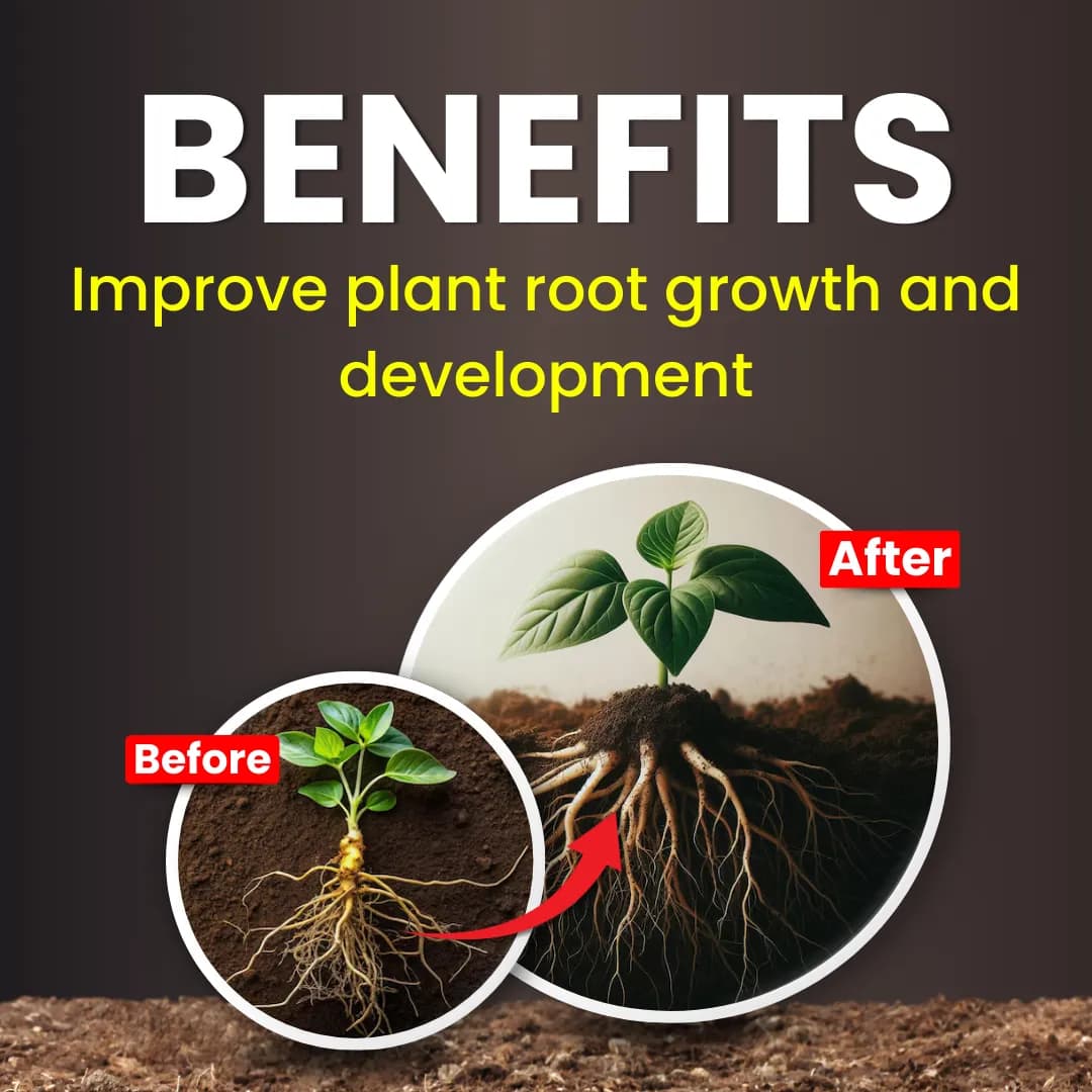 Katyayani VAM-G Vesicular Arbuscular Mycorrhiza Bio Fertilizer, Boosts Root Growth, And Improves Soil Health - Image 3