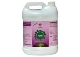 Utkarsh Azotoz (Azotobacter Nitrogen Fixing Microbes) Bio Fertilizer, Increases Yield and Nutrient Uptake 4