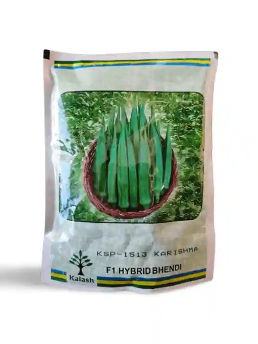 Kalash KSP-1513 Karishma Bhindi Seeds - Okra Seeds