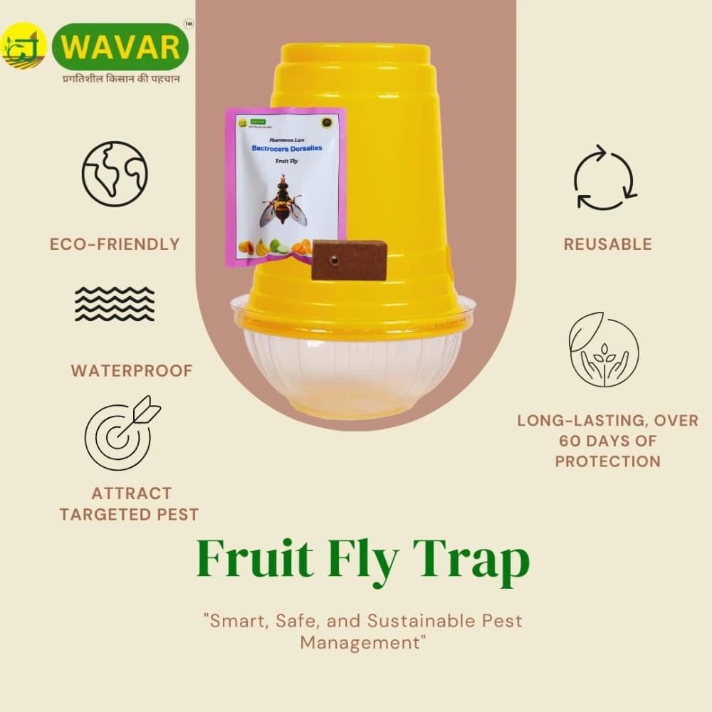 WAVAR Fruit Fly Trap Dorsalis Lure, Bactrocera Dorsalis, Effective Fruit Fly Pest Control - Image 2