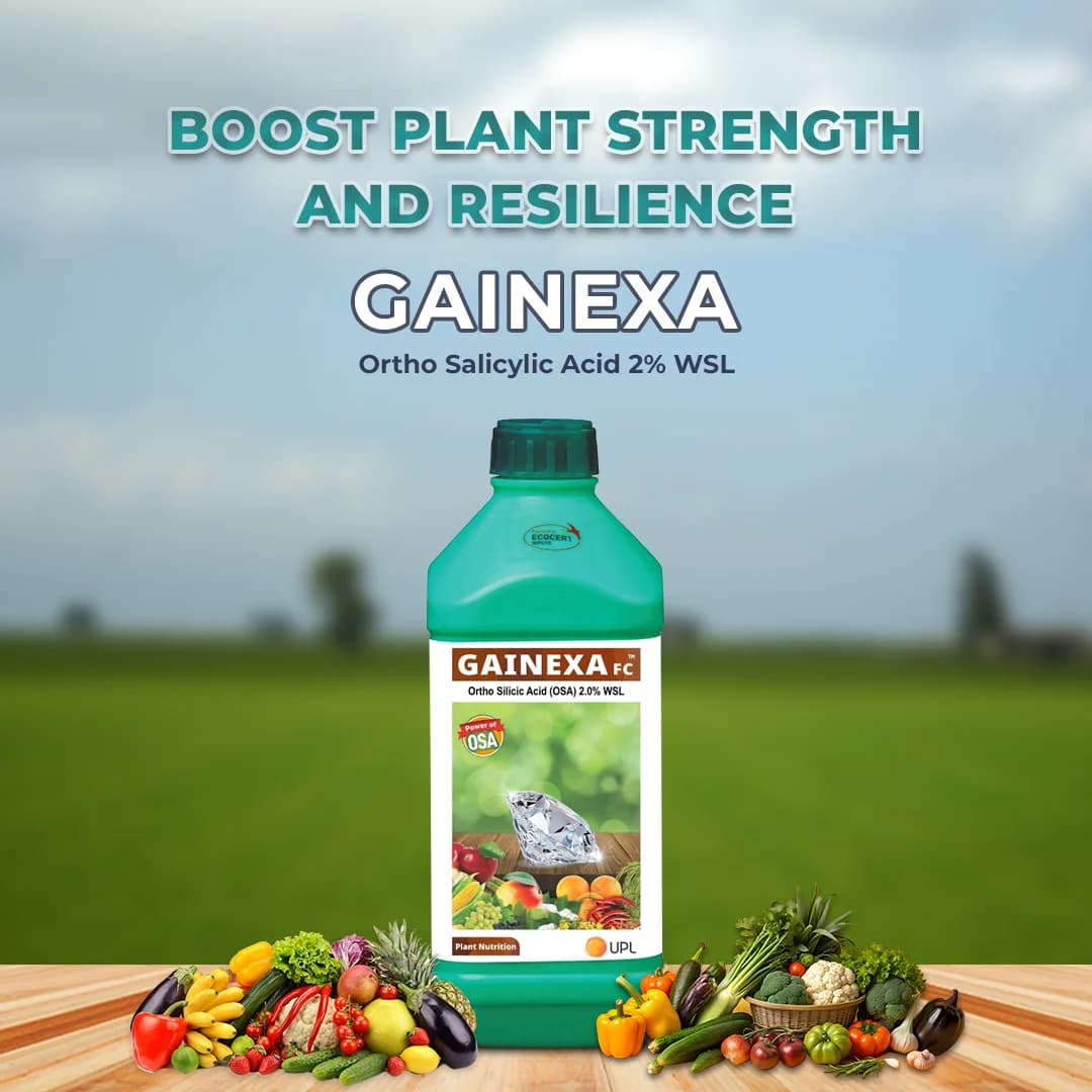 UPL Gainexa Orthosilicic Acid, Ortho Salicylic Acid 2% WSL, Improved Better Yield. - Image 2