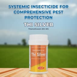 Agriventure Thi Silver (Thiamethoxam 25% Wg) Broad Spectrum Systemic Insecticide 2