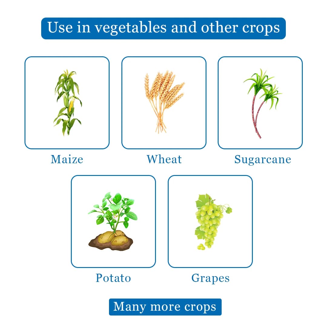 Dhanuka Weedmar 80 2, 4-D Sodium Salt Technical 80% WP Herbicide, Effective Control Weed In Multiple Crops - Image 4
