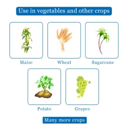 Dhanuka Weedmar 80 2, 4-D Sodium Salt Technical 80% WP Herbicide, Effective Control Weed In Multiple Crops 4
