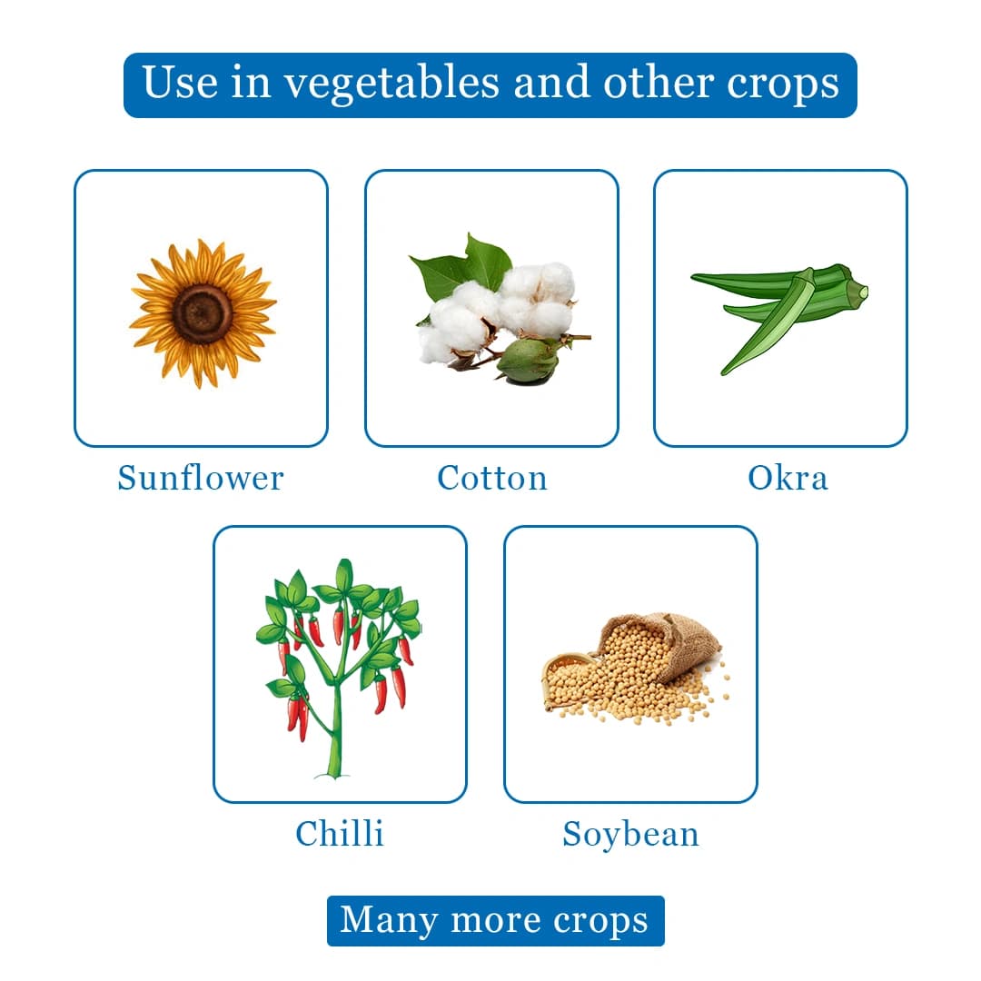 Bayer Gaucho Insecticide - Image 4