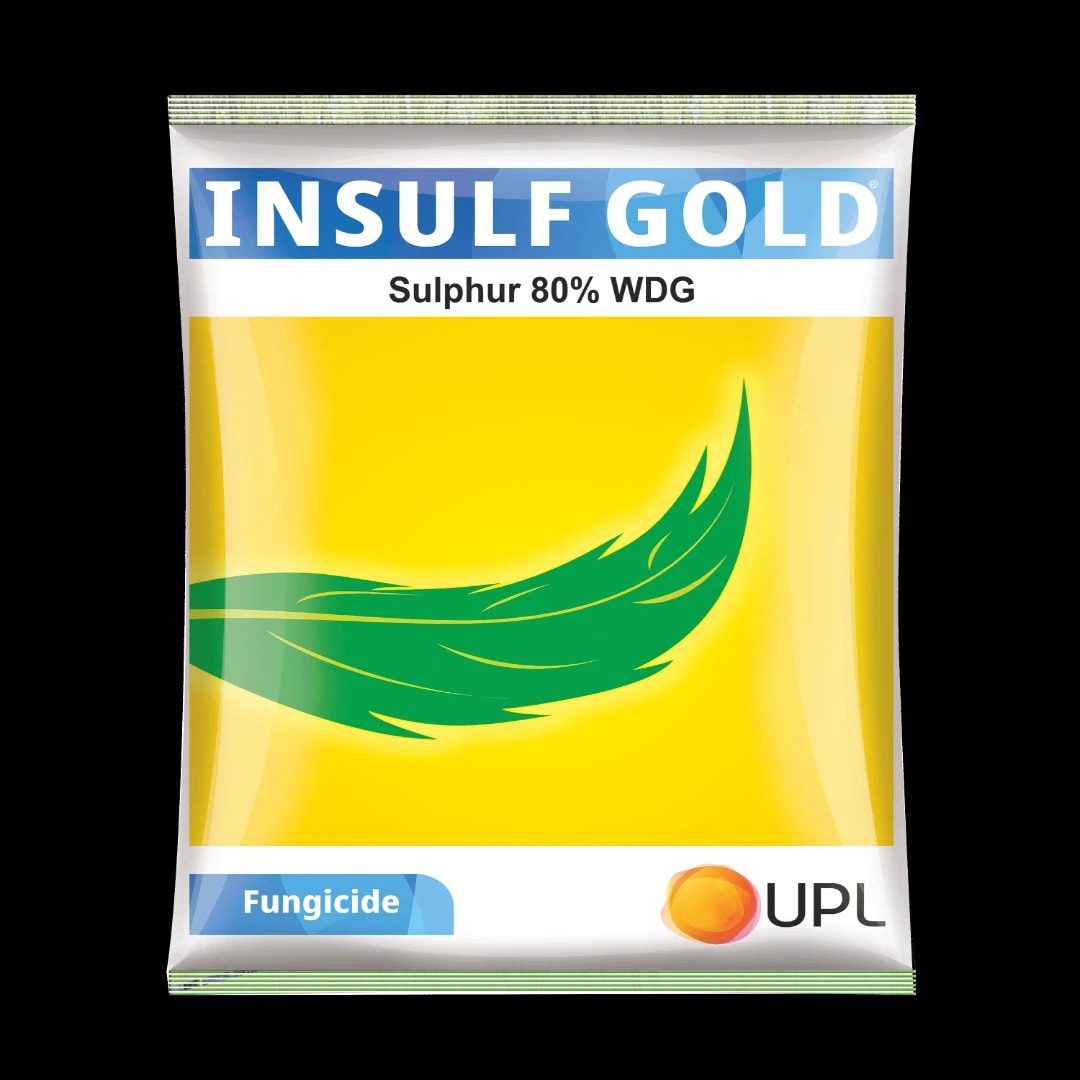 UPL Insulf Gold Sulphur 80% WDG Fungicide, Micronutrient, and Miticide Triple Action For Multiple Crop Protection