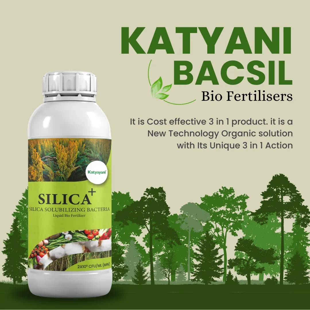 Katyayani Silica Plus Silica Solubilizing Bacteria Bio Fertilizer For Enhanced Silica Availability and Improved Plant Strength and Growth - Image 3
