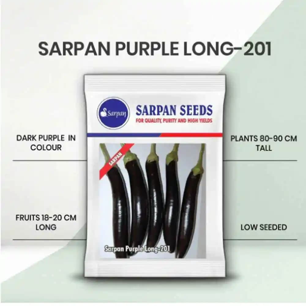 Sarpan Purple Long-201 Brinjal Seeds - (Baingan Seeds) Excellent Germination, Low Seeded, Fruit Is Dark Purple - Image 2
