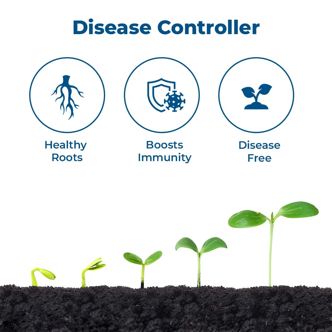 EBS Pseudomonas Fluorescence Bio Fungicide, Controlling Diseases Like Root Rot, Stem Rot, Collar Rot On All Crops - Image 4