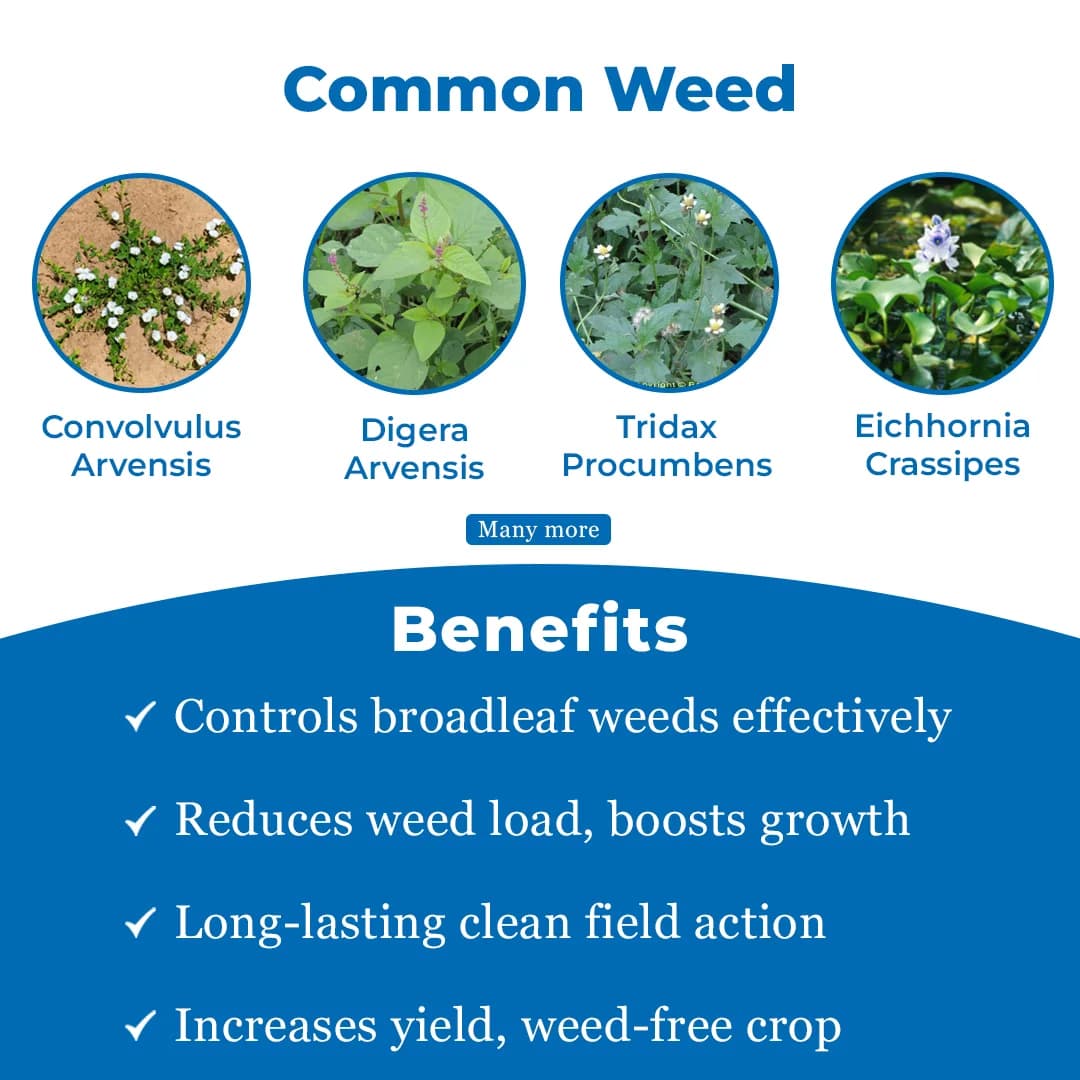 Dhanuka Weedmar 80 2, 4-D Sodium Salt Technical 80% WP Herbicide, Effective Control Weed In Multiple Crops - Image 3