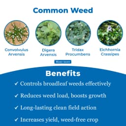 Dhanuka Weedmar 80 2, 4-D Sodium Salt Technical 80% WP Herbicide, Effective Control Weed In Multiple Crops 3