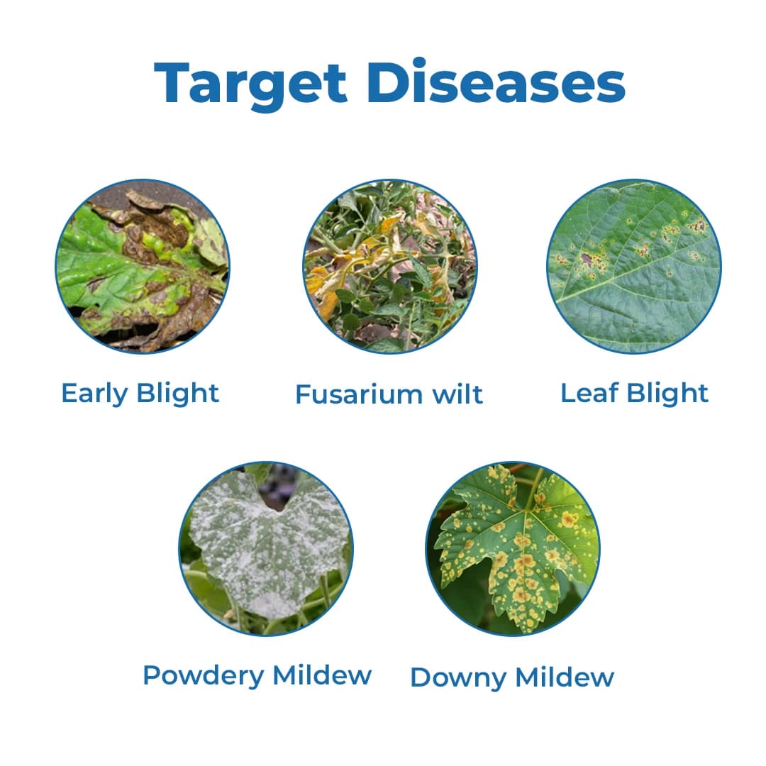Magic FungiX For Fungal disease with 100% Natural Broad Spectrum Bio Fungicide, Fungal Disease Controller And Yield Enhancer - Image 3
