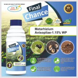 AgriVenture FINAL CHANCE (Metarhizium Anisopliae 1.15% WP) Bacterial Products, Best for White Grub 4