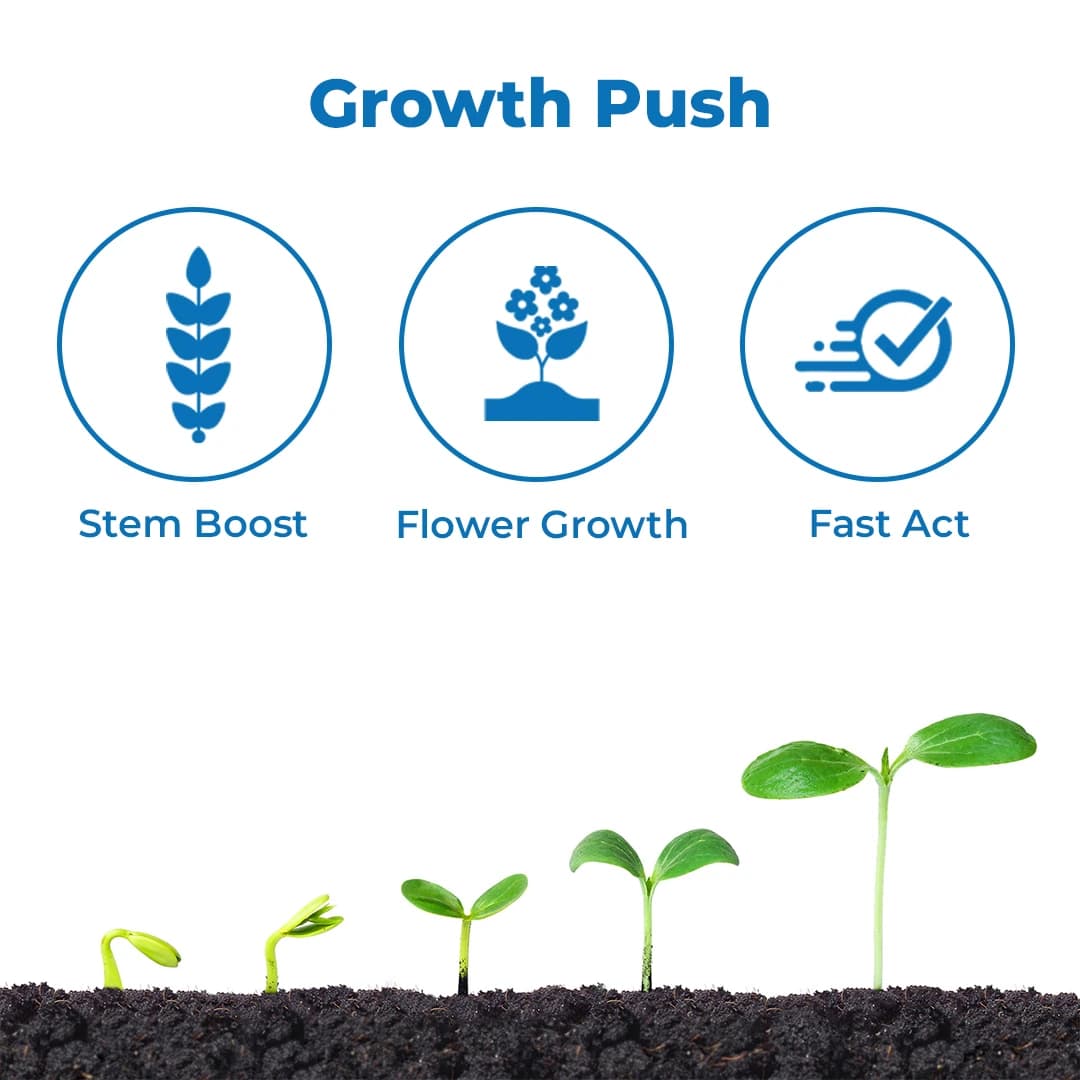 Sumitomo Hoshi Gibberellic Acid 0.001%. Plant Growth Regulator. Increases the Yield and Quality of Crop Production - Image 3