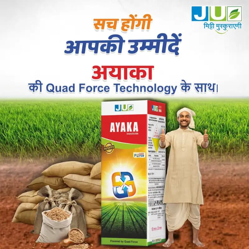 Ju AYAKA Emamectin Benzoate 1.25% + Lambda Cyhalothrin 1.5% + Bifenthrin 4.5% EC Insecticide, Effective Pest Control In Multiple Crops - Image 2
