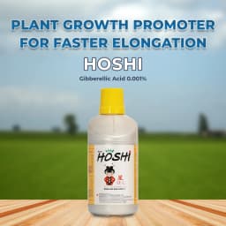 Sumitomo Hoshi Gibberellic Acid 0.001%. Plant Growth Regulator. Increases the Yield and Quality of Crop Production 2