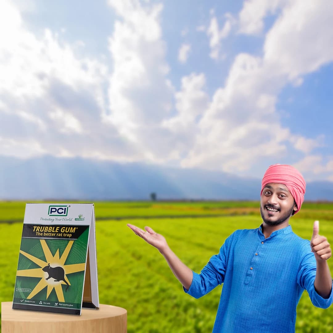 PCI Trubble Gum Rat Trap Glue Pad - Image 6