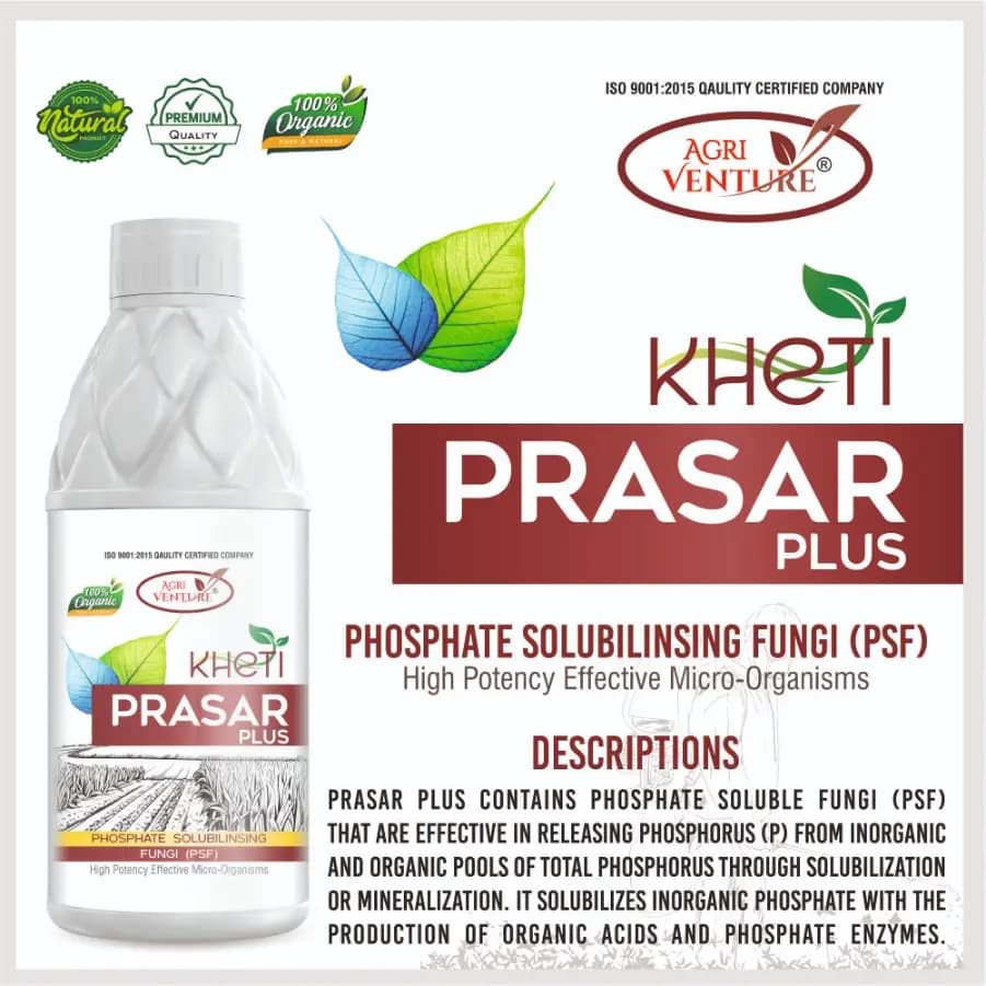 Agriventure Kheti Prasar Plus ( Psf - Phosphate Solubilizing Fungi ) Eco-Friendly Bactericide Organic Product Bio Firtilizers - Image 3
