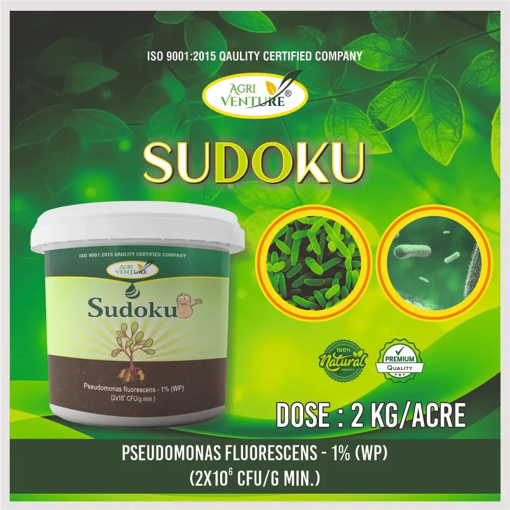 Agriventure Sudoku (Pseudomonas Flurescens 1% Wp) Promote Plant Growth And Health By Suppressing Soil Borne Diseases - Image 7