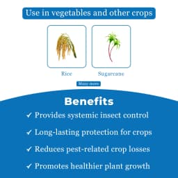FMC Ferterra Chlorantraniliprole 0.4% ww GR Insecticide, Effective For Borer Control In Rice And Sugarcane Crops. 4