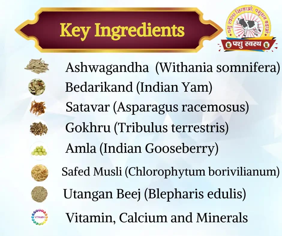 PASHU SVASTH Growth Powder, Animal Growth And Increase Body Weight Of Calves, Heifers And Small Animals, Natural Herbs Formula - Image 5